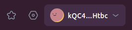 Connected Wallet